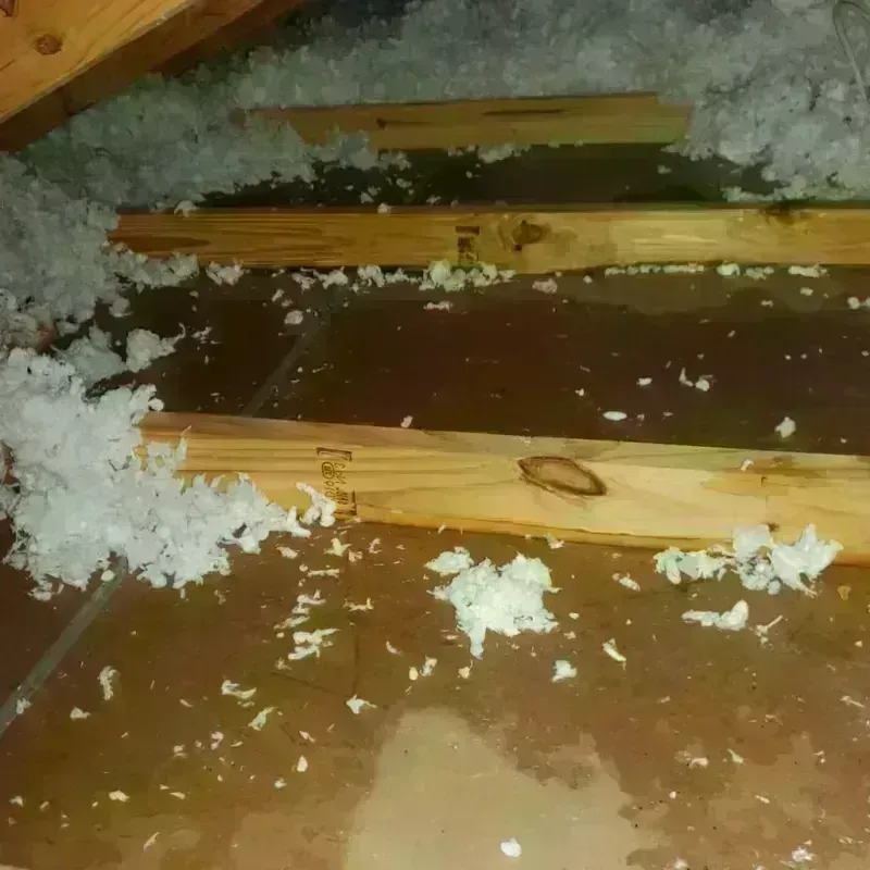 Attic Water Damage in Lexington, TX