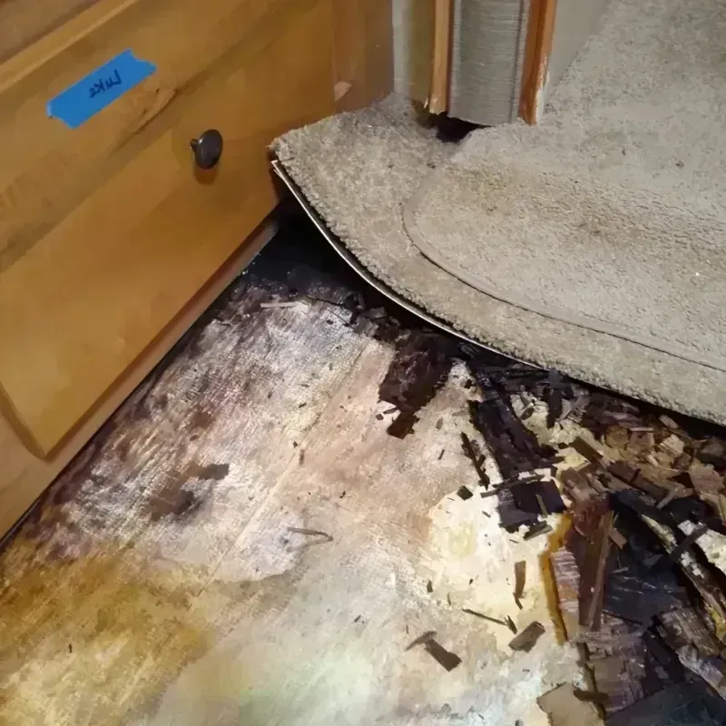 Wood Floor Water Damage in Lexington, TX